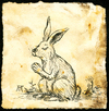 Cartoon: Betender Hase (small) by GB tagged albrecht,dürer,ad,nürnberg,hase,kunst,künstler,druck,stich,radierung,zeichnung,aquarell,museum,ausstellung,objekt