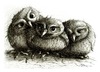 Cartoon: 3 junge Eulen - 3 young owls (small) by Stefan Kahlhammer tagged jung,eulen,flankalan,flankale,kahlhammer,illustration,vögel,birds