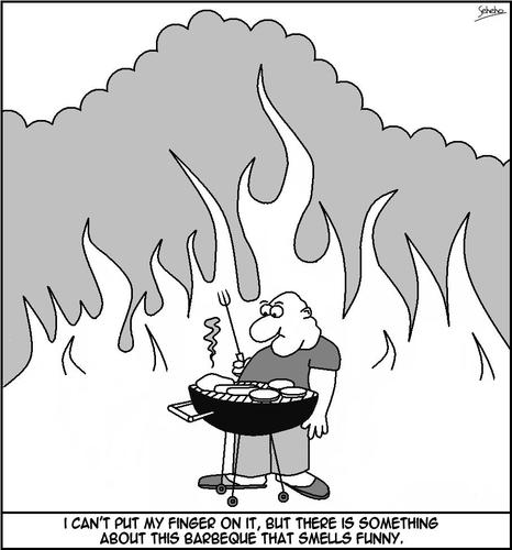 Cartoon: BUSH FIRE (medium) by Thamalakane tagged bush,fire,wildfire,barbeque