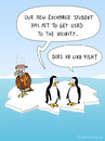 Cartoon: EXCHANGE STUDENT (small) by Frank Zimmermann tagged antartica,bottle,cold,exchange,freeze,hot,ice,penguin,student,vulture,cartoon,arctic,pole
