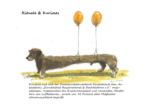 Cartoon: Dem Dackel... (medium) by Jori Niggemeyer tagged dackel,hund,luftballon,zucht,rasse,rassemerkmale,dackellähme,sinnfreiheit,von,züchtungen,niggemeyer,joricartoon,cartoon