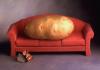 Cartoon: Couch Potato (small) by Karl Toffel tagged toffel