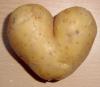 Cartoon: I Love You All (small) by Karl Toffel tagged potato