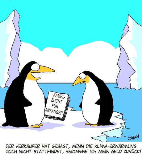 Cartoon: Kamelzucht (medium) by Karsten Schley tagged klimawandel,antarktis,eiskappen,pinguine,natur,tiere,klimawandel,antarktis,eiskappen,pinguine,natur,tiere,kalt,tier,pinguin