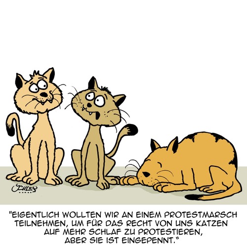 Cartoon: So ein Penner! (medium) by Karsten Schley tagged katzen,haustiere,tiere,schlaf,gesundheit,demonstration,protest,protest,demonstration,gesundheit,schlaf,tiere,haustiere,katzen