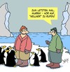 Cartoon: Rufen (small) by Karsten Schley tagged natur,tiere,forschung,wissenschaft,wissenschaftler,forscher,eis,meer,pinguine
