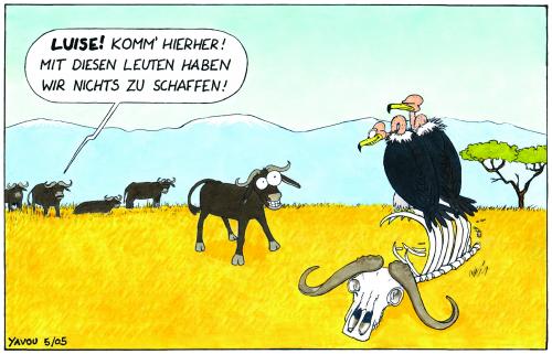 Cartoon: Neulich in der Savanne (medium) by Yavou tagged tier,tiere,büffel,gerippe,knochen,aas,savanne,geier,allesfresser,freundschaft,vorurteile,natur