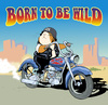 Cartoon: Born to be wild (small) by Kringe tagged meerschweinchen,guineapigs,harley,biker