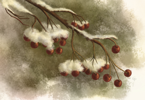 Cartoon: Wintereinbruch (medium) by alesza tagged nature,winter,wintereinbruch,schnee,natur