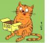 Cartoon: Eggs (small) by Aleksandr Salamatin tagged eggs cat pets tomcat