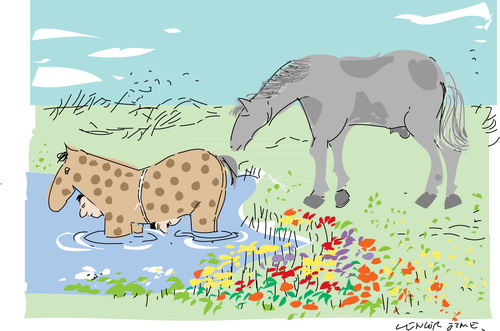 Cartoon: Ooopssss (medium) by gungor tagged horse