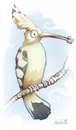 Cartoon: Abubilla (small) by Enita tagged bird,animal,digital,art,illustration,colors,nature