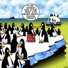 Cartoon: Casual Friday (small) by toons tagged penguins,casual,fridays,sarong,board,shorts,hibiscus,flowers,arctic