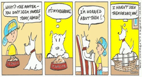 Cartoon: neighbourlylove!.. (medium) by noodles cartoons tagged hamish,scotty,dog,sunny,neighbours