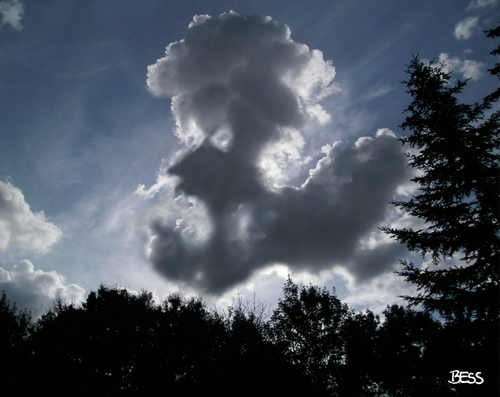 Cartoon: cloud face 18 (medium) by besscartoon tagged wolken,himmel,cloud,face,gesicht,bess,besscartoon