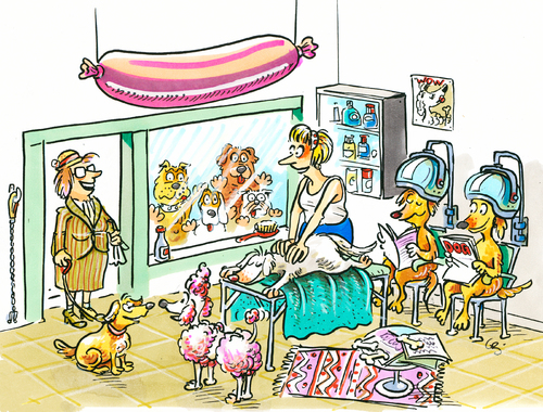 dog parlour