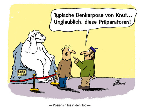 Cartoon: Posierlich bis in den Tod (medium) by Mario Schuster tagged knut,eisbär,mario,schuster,gera