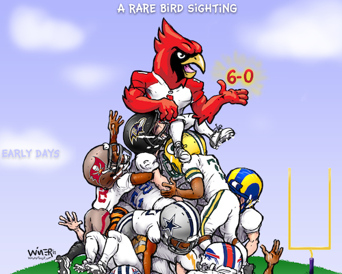 Cartoon: Rare NFL Bird Sighting (medium) by karlwimer tagged wimer,sports,cartoon,american,football,nfl,arizona,cardinals,league,standings,perch,bird,watching