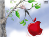 Cartoon: Sick Apple (small) by karlwimer tagged jobs,steve,apple,icon,business,economics,market,technology