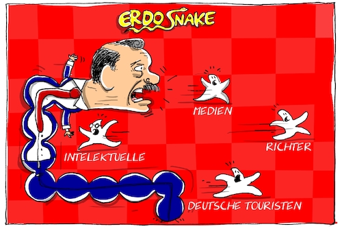 erdosnake