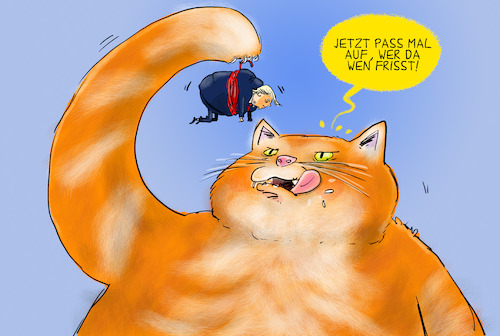 Cartoon: Trump und die Haustiere (medium) by leopold maurer tagged duell,trump,harris,aussagen,haustiere,migranten,verspeisen,essen,lügen,katzen,katze,lady,tv,abtreibung,verschwörung,wahl,demokraten,republikaner,kandidaten,präsidenschaft,leopold,maurer,karikatur,cartoon,duell,trump,harris,aussagen,haustiere,migranten,verspeisen,essen,lügen,katzen,katze,lady,tv,abtreibung,verschwörung,wahl,demokraten,republikaner,kandidaten,präsidenschaft,leopold,maurer,karikatur,cartoon