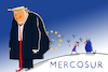 Mercosur