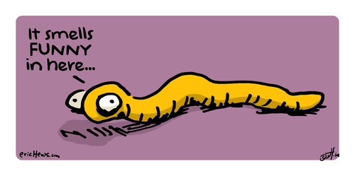 Cartoon: Butt Worm (medium) by ericHews tagged butt,worm,stink,odor,ass,arse,rear,cul