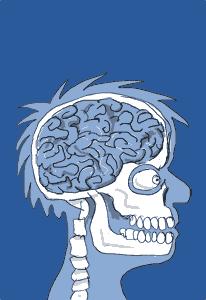 Cartoon: Brain X-Ray (medium) by Ellis Nadler tagged profile,xray,head,skull,brain,spine,teeth,anatomy,medical,hospital,fracture,bones