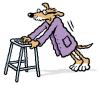 Cartoon: Old dog with zimmer frame (small) by Ellis Nadler tagged old,dog,zimmer,frame,walk,frail,glasses,tail,animal,pensioner,geriatric,nadler
