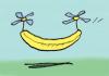 Cartoon: Sikorski banana (small) by Ellis Nadler tagged banana,helicopter,sikorski,chopper,fruit,yellow,flight,plane