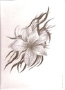 Cartoon: Flower (small) by Mirka tagged flowers