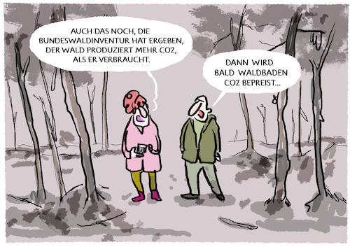 Der Wald wird zum Klimaproblem..