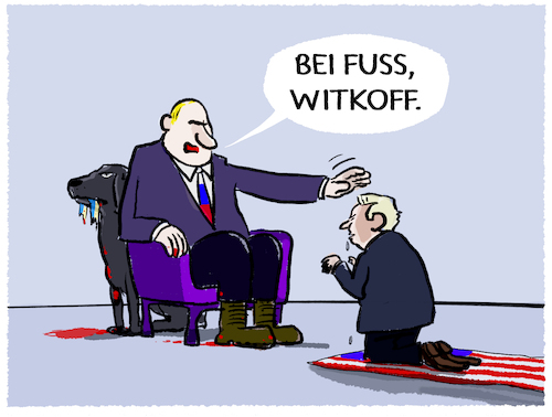Cartoon: Witkoff bei Putin... (medium) by markus-grolik tagged steve,witkoff,moskau,kreml,putin,russland,verhandlungen,ukraine,krieg,trump,friedensplan,steve,witkoff,moskau,kreml,putin,russland,verhandlungen,ukraine,krieg,trump,friedensplan