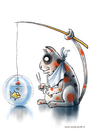 Cartoon: Angelkatze (small) by markus-grolik tagged kater katze goldfisch ernährung freizeit haustier aquarium fisch