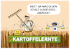 Ernteausfall durch Zikaden...