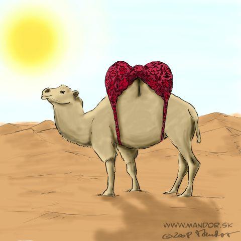 Cartoon: Camel (medium) by Mandor tagged camel,bra,desert