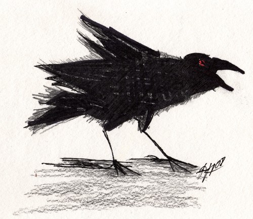 Cartoon: Raven 3 (medium) by Maninblack tagged raven,bird,black