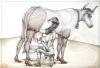 Cartoon: sexyVacas (small) by LuciD tagged lucido
