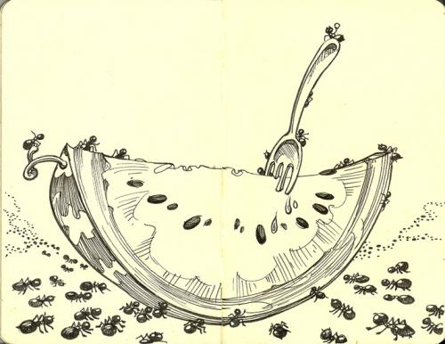 Cartoon: The Picnic (medium) by rudat tagged picnic,watermelon,ants,food