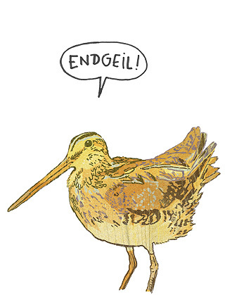 Cartoon: BEKASSINE-Vogel des Jahres 2013 (medium) by wf-artwork tagged schnepfe,bekassine,2013,jahres,des,vogel