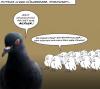Cartoon: Einheimischer (small) by wf-artwork tagged tourist,taube,dove,vogel,bird,sigtseeing,comic,humor,tiere,animals