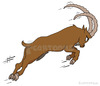 Cartoon: Ziegenbock - billy goat (small) by Frank Zimmermann tagged ziegenbock billy goat attack ram stupid rigid animal fcartoons jump sprung attacke hörner