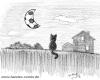 Cartoon: mondball (small) by Hannes tagged hannes fußball football mond moon nacht night katze cat