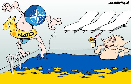 Cartoon: Cold water (medium) by Amorim tagged nato,ukraine,russia,putin,nato,ukraine,russia,putin