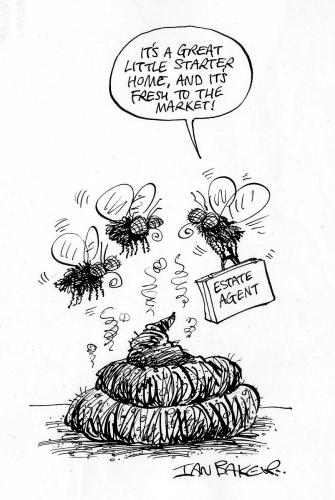 Cartoon: Flies! (medium) by Ian Baker tagged flies,real,estate,agent,housing