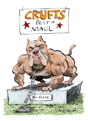 Cartoon: XL Bully Dog (medium) by Ian Baker tagged xl,bully,dog,k9,viscious,angry,dangerous,animal,ian,baker,cartoon,caricature,parody,spoof,humour,comedy,illustration,crufts,show,chain,lead,bite,attack