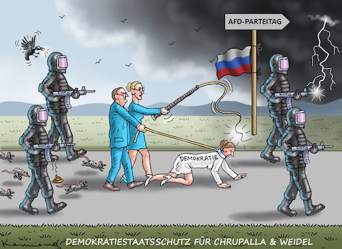 Cartoon: AFD-DEMOKRATIESTAATSSCHUTZ (medium) by marian kamensky tagged afd,parteitag,afd,parteitag