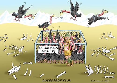 Cartoon: DÜRREPROFITEUR (medium) by marian kamensky tagged hitzewelle,in,deutschland,hitzewelle,in,deutschland