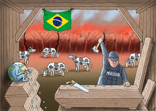 Cartoon: MERCOSUR STOPPEN ! (medium) by marian kamensky tagged mercosur,stoppen,brasilien,regenwald,bolsonaro,mercosur,stoppen,brasilien,regenwald,bolsonaro