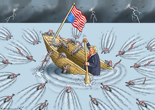 Cartoon: RATTEN BESIEDELN DAS SINKENDE BO (medium) by marian kamensky tagged trump,und,der,hurrikan,milton,us,wahlen,jeff,bezos,dreht,durch,the,washington,post,musk,tesla,trump,und,der,hurrikan,milton,us,wahlen,jeff,bezos,dreht,durch,the,washington,post,musk,tesla